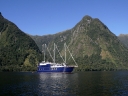 fjordland (31)